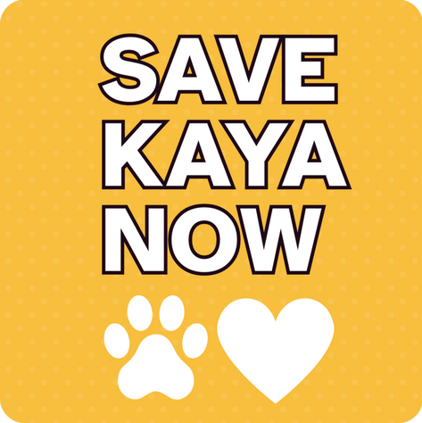 Official Logo